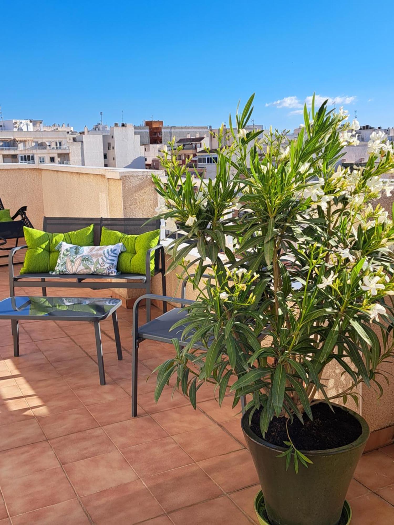 Atico Roof Top 또레비에하 외부 사진